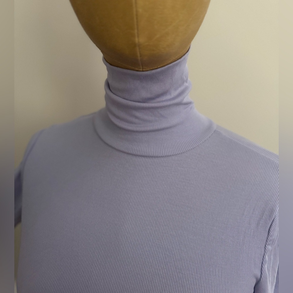 NWT Sunday Best Freshman Lavender Cropped Turtleneck Top (XS) - Picture 4 of 7